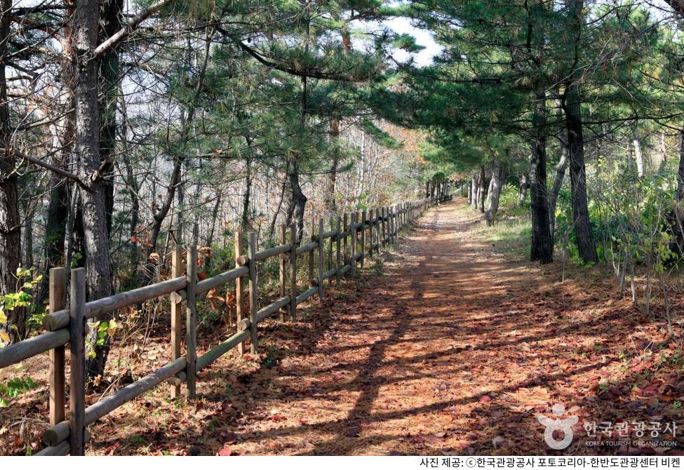 고성 여행: 자연과 역사가 숨 쉬는 추천 코스